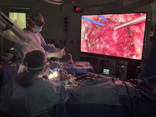 2025 at Maimonides: Year in Review